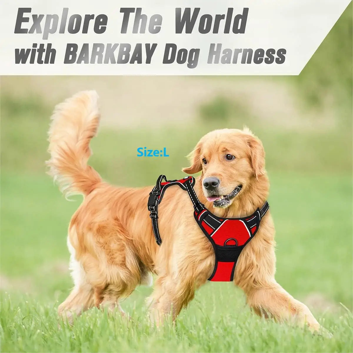 No-Pull Dog Harness with Reflective Strips