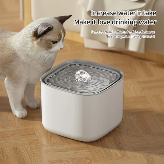 Cat Water Fountain with Filter