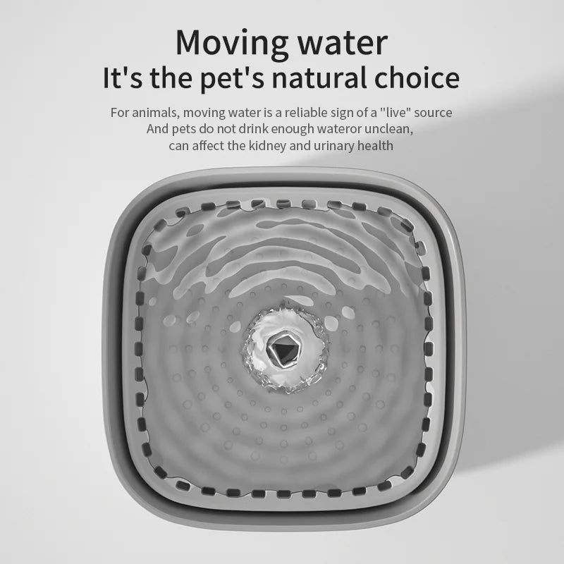Cat Water Fountain with Filter