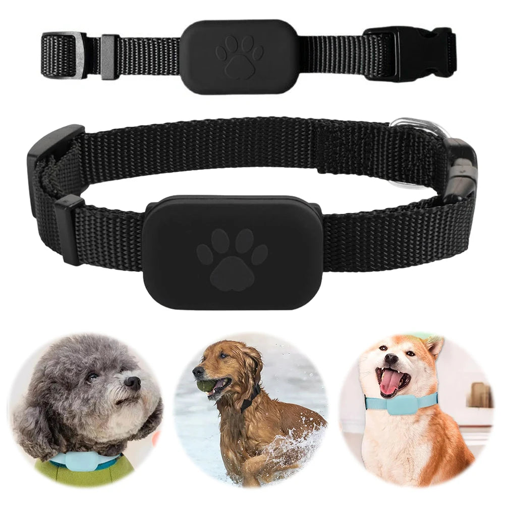 GPS Pet Tracker & Activity Monitor