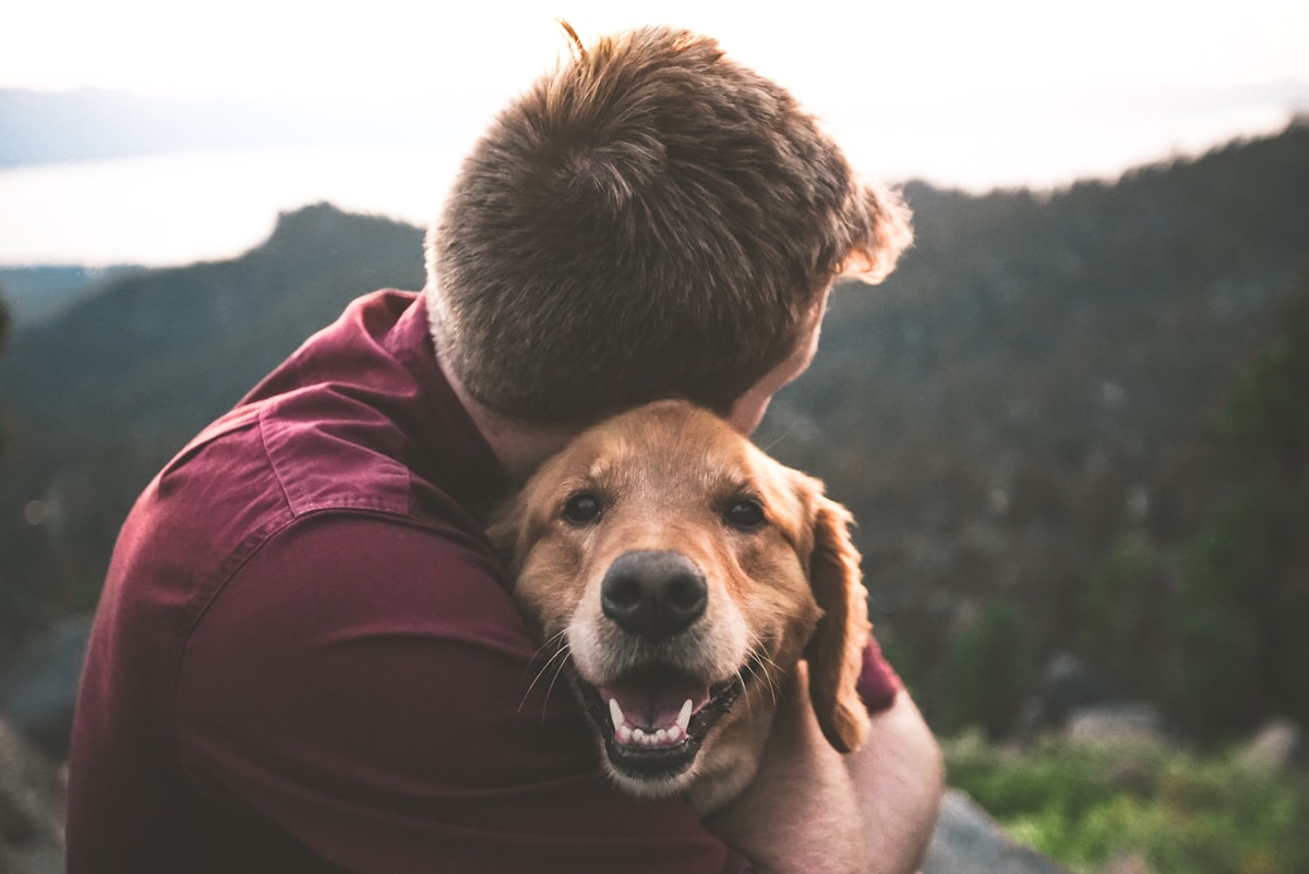 Owner bonding with dog after grooming